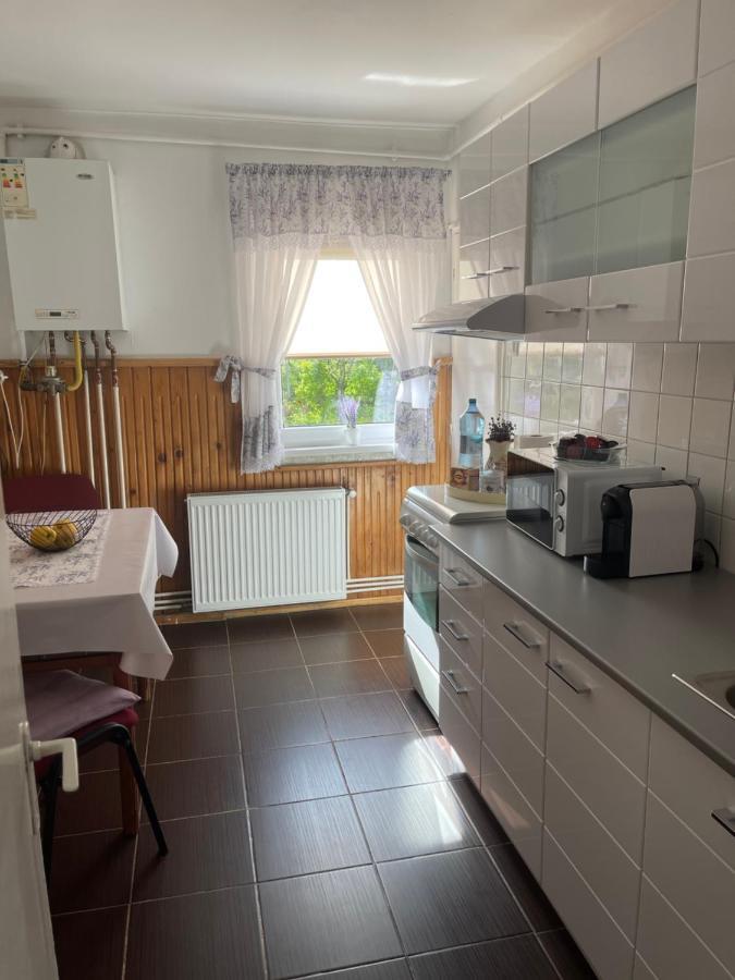 L&D Apartament Daire Sibiu Dış mekan fotoğraf